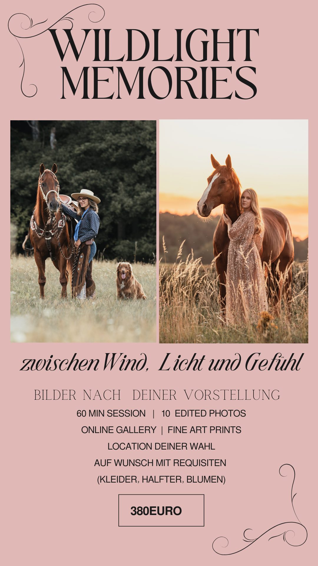 Wildlight Memories — 380€